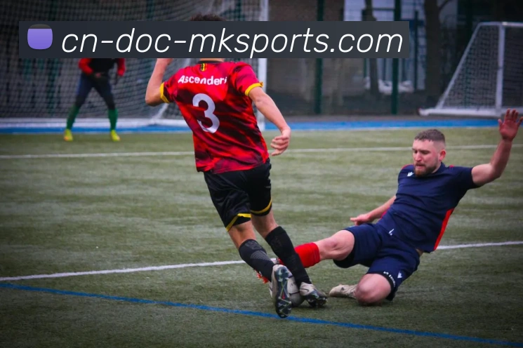 MK体育APP 体育赛事宣传图